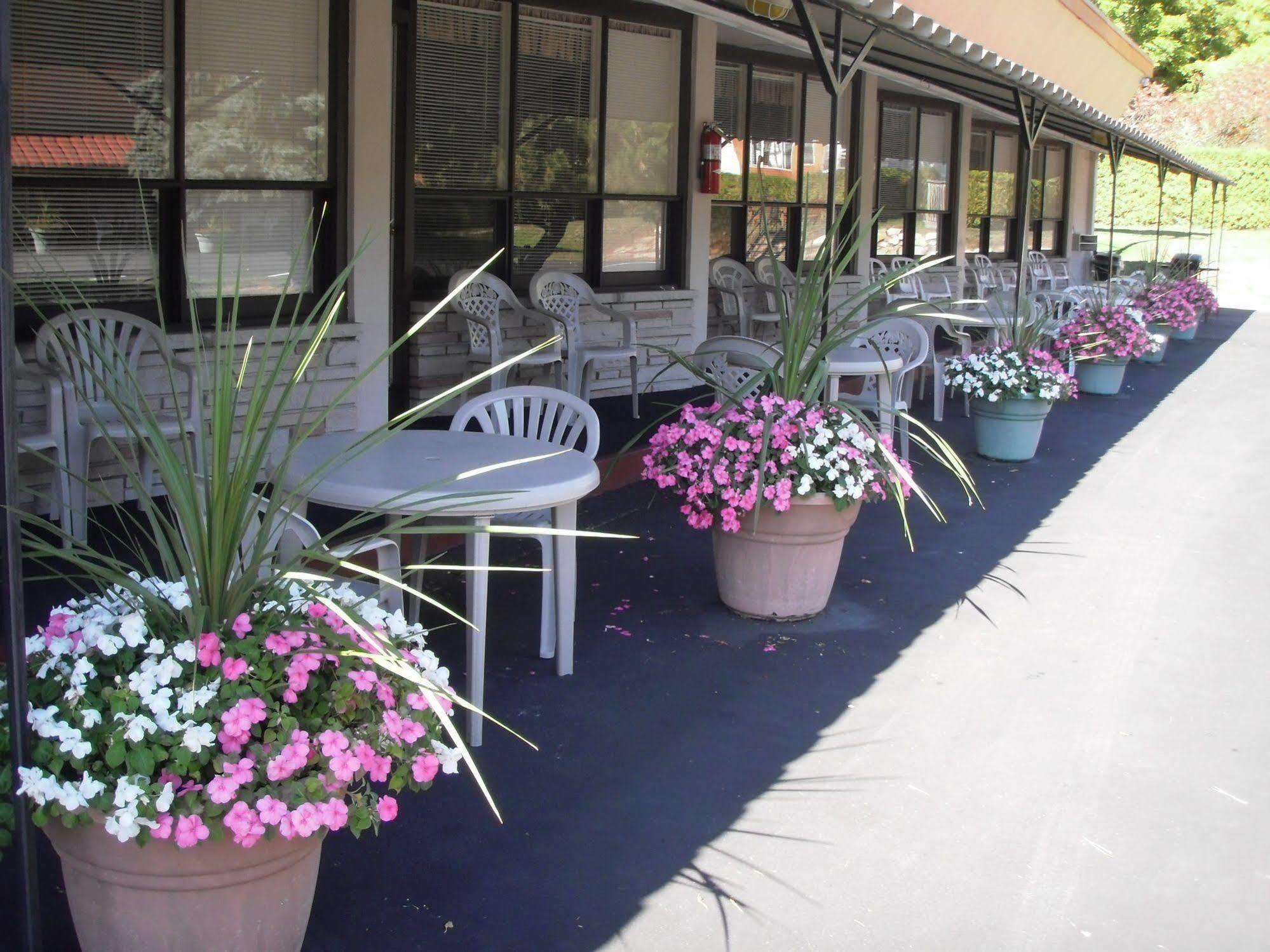 Capricorn Motel Royale 1000 Islands Lansdowne Dış mekan fotoğraf